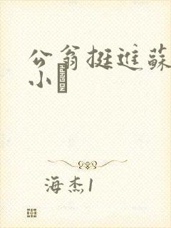 公翁挺进苏玥的小泬