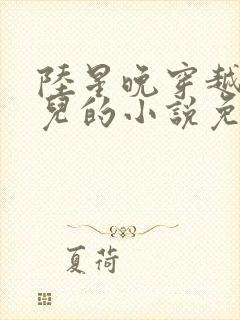 陆星晚穿越成婴儿的小说免费阅读全文