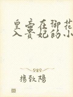 皇帝在御花园进入贵妃的小说