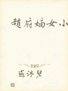 赵府嫡女小说