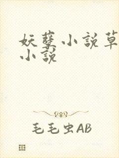 妖孽小说草莓酱小说