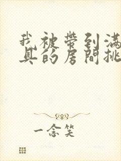 我被带到满是玩具的房间挑调作文
