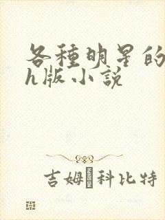 各种明星的综艺h版小说