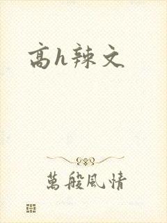 高h辣文