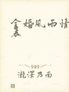 金婚风雨情演员表封面