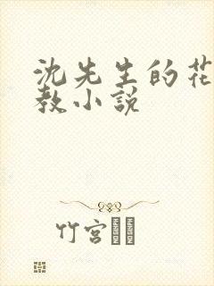 沈先生的花式管教小说