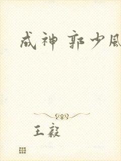 成神 郭少风封面