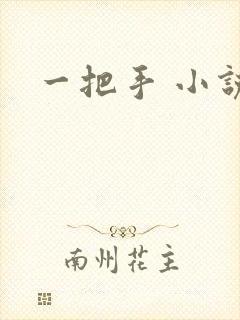 一把手 小说