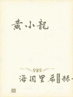 黄小龙封面