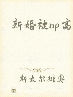 新婚被np高h封面