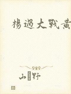 杨过大战黄蓉