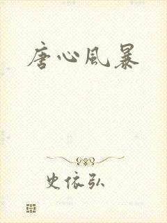 唐心风暴