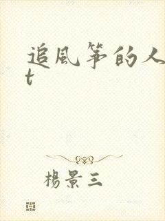 追风筝的人txt