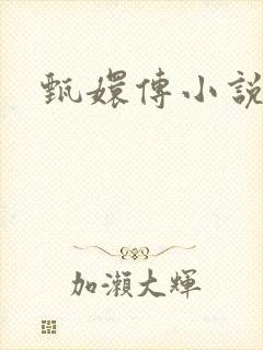 甄嬛传小说