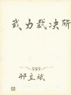 武力裁决所