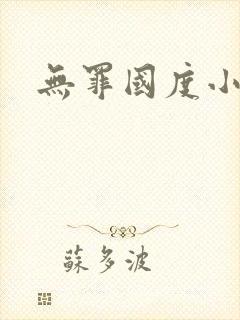 无罪国度小说