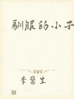 驯服的小子4