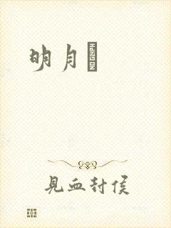 明月珰封面