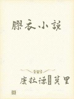 胶衣小说