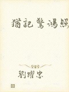 犹记惊鸿照影