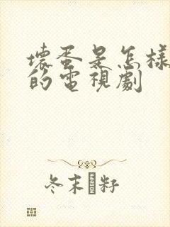 坏蛋是怎样炼成的电视剧