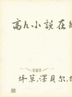 高h小说在线看