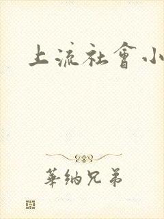 上流社会小说