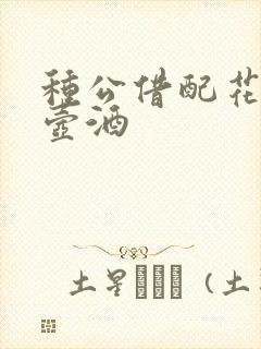 种公借配花间一壶酒