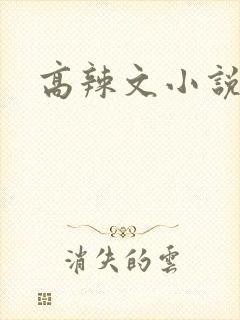 高辣文小说