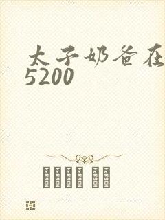 太子奶爸在花都5200封面