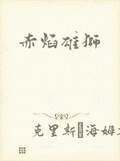 赤焰雄狮封面