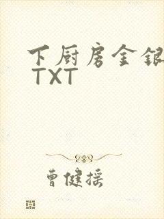 下厨房金银花露 TXT封面