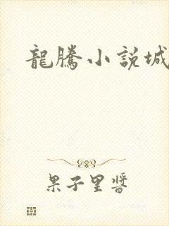 龙腾小说城