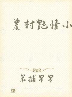 农村艳情小说封面