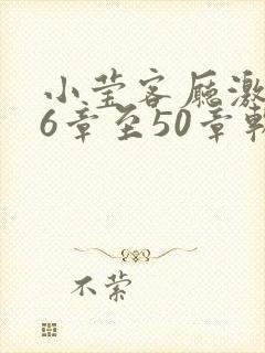 小莹客厅激情46章至50章软件介绍
