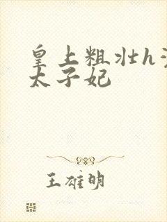 皇上粗壮h灌满太子妃封面