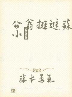 公翁挺进苏玥的小泬
