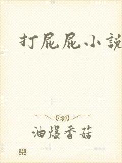 打屁屁小说