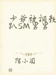 少爷被调教室跪趴SM男男封面