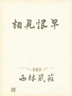 相见恨早