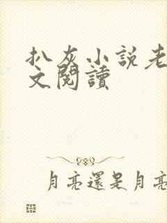 扒灰小说老马全文阅读