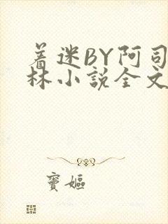 着迷BY阿司匹林小说全文免费阅读