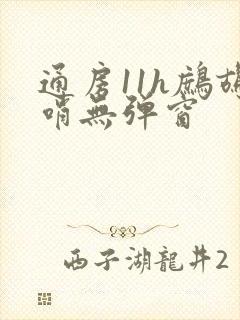 通房11h鹧鸪哨无弹窗封面