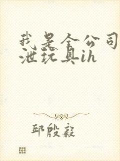我是全公司的发泄玩具ih封面