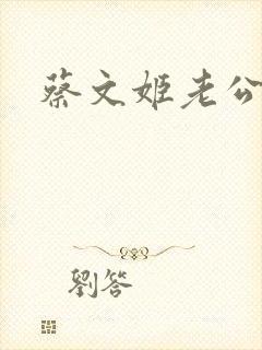 蔡文姬老公封面