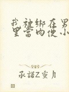 我被绑在男公厕里当肉便小说封面
