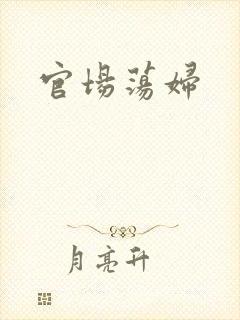 官场荡妇封面