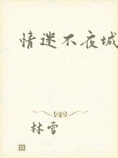 情迷不夜城