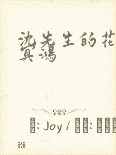 沈先生的花式调冥鸿