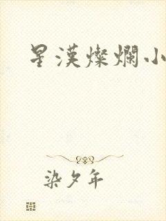 星汉灿烂小说